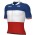 Bekleidung Herren Ale Groupama FDJ 2024 trikot-Franzosischer meister