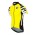 2016 ASSOS Fahrradbekleidung Radtrikot gelb FMFCX