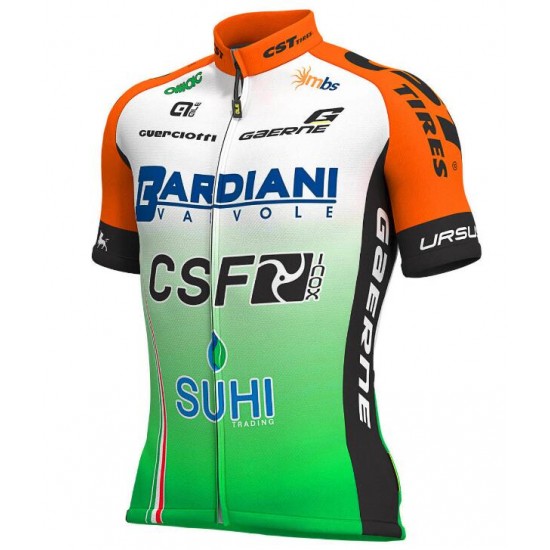 2019 Bardiani Csf Fahrradbekleidung Radtrikot ZZK27