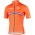 NIEDERLANDE 2020 Radtrikot kurzarm langer RV-BioRacer Radsport-National-Team